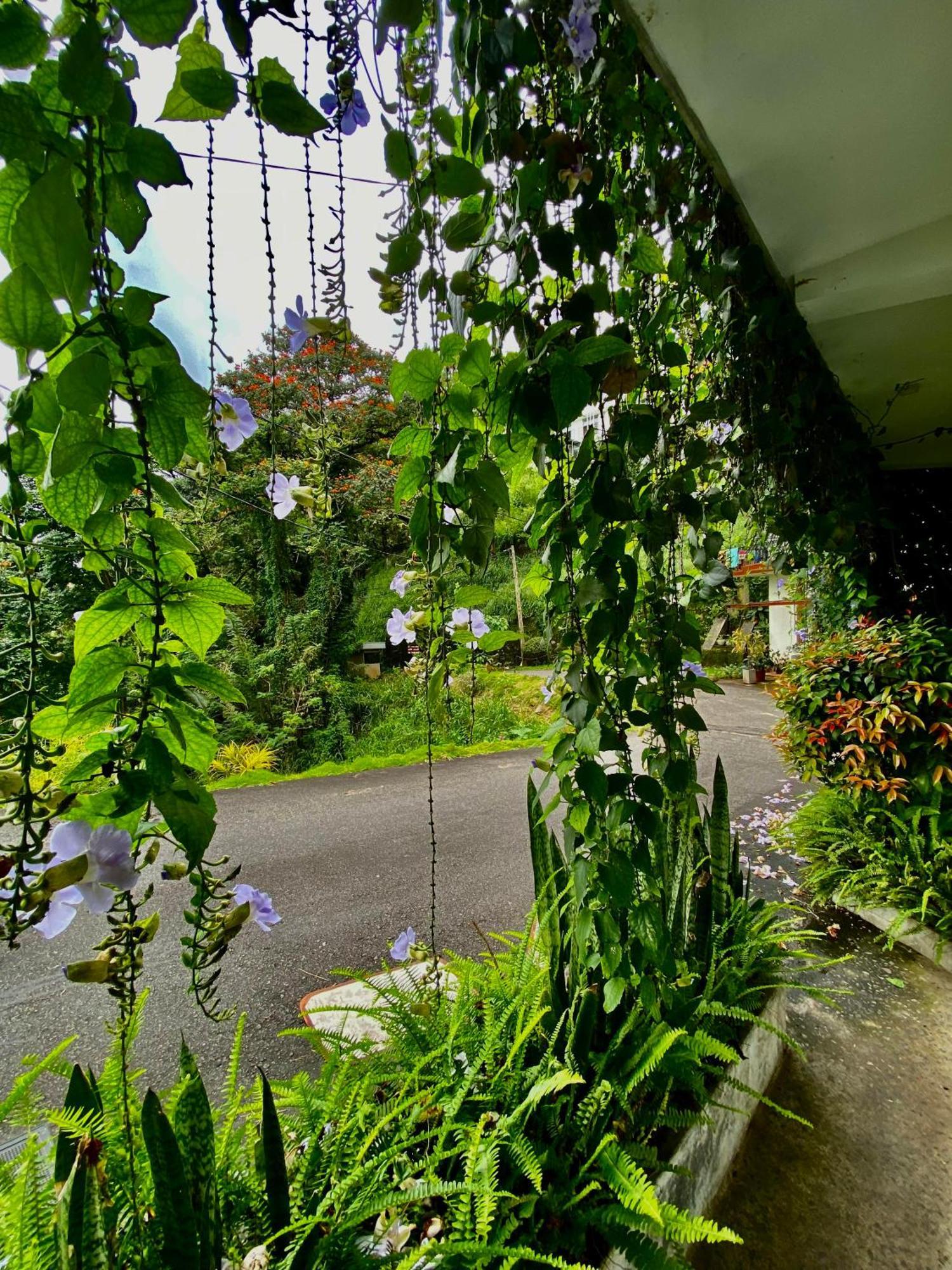 Sesatha Lake แคนดี้ ภายนอก รูปภาพ